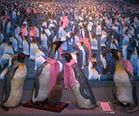 20061028 Gaypenguins 20061028 Gaypenguins