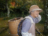 Japan Elder Divorce Japan Elder Divorce