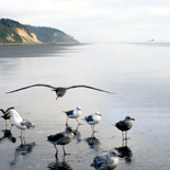 Pollution Rating Pollution Rating