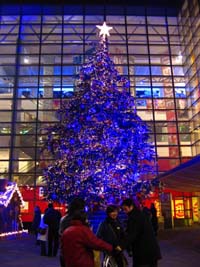 Shanghai Tree Shanghai Tree